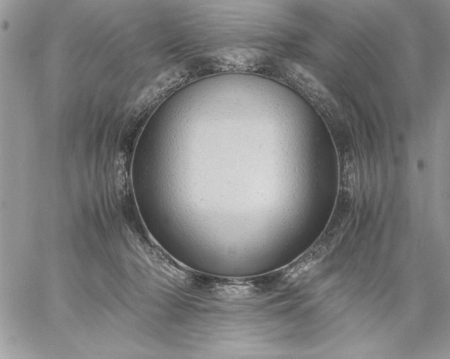 X0000059090318200510172101