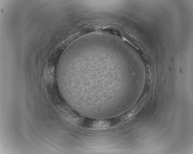 X0000059090319200510172101