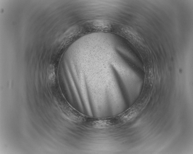 X0000059090320200510172101