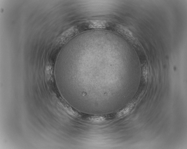 X0000059090322200510172101