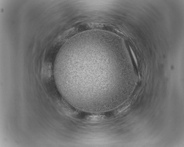 X0000059090323200510172101