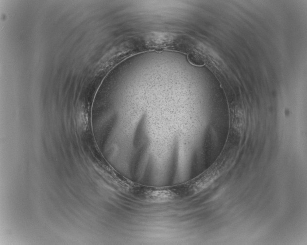 X0000059090324200510172101