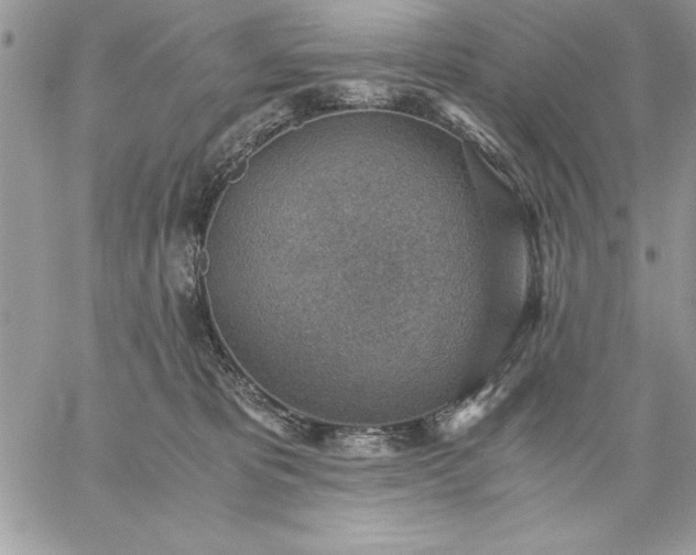 X0000059090325200510172101