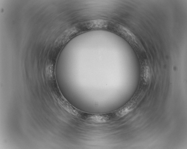 X0000059090326200510172101