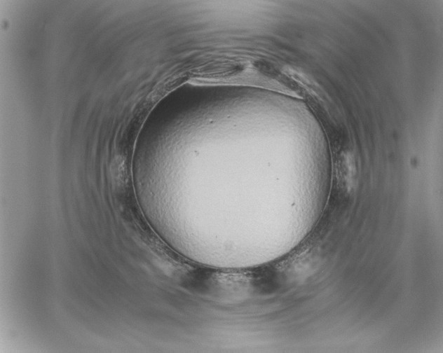 X0000059090327200510172101