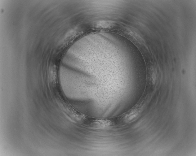 X0000059090328200510172101