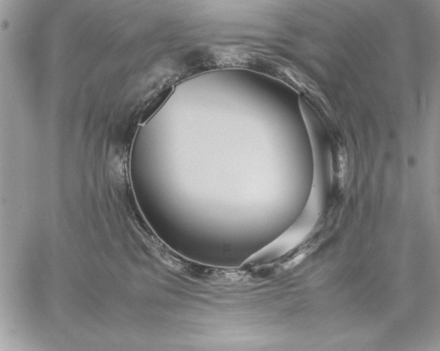 X0000059090329200510172101