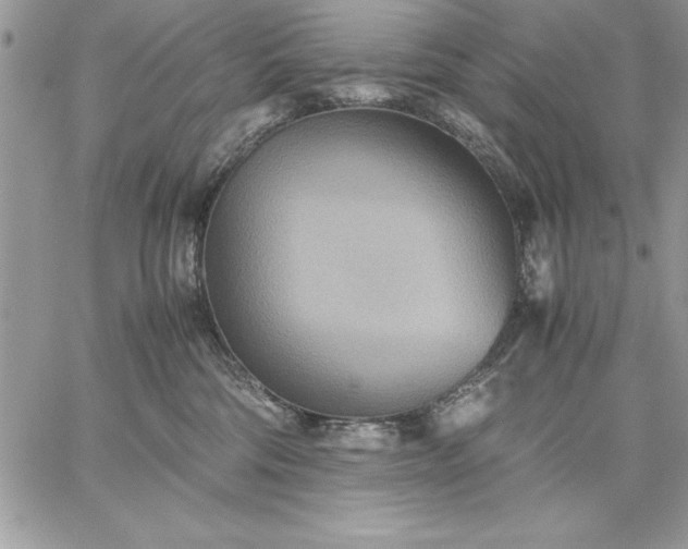 X0000059090330200510172101