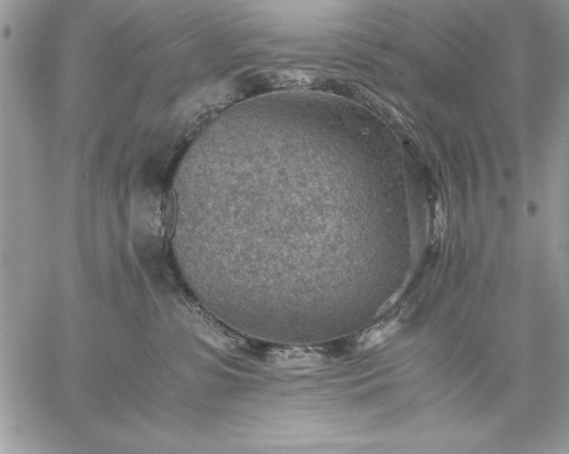 X0000059090331200510172101