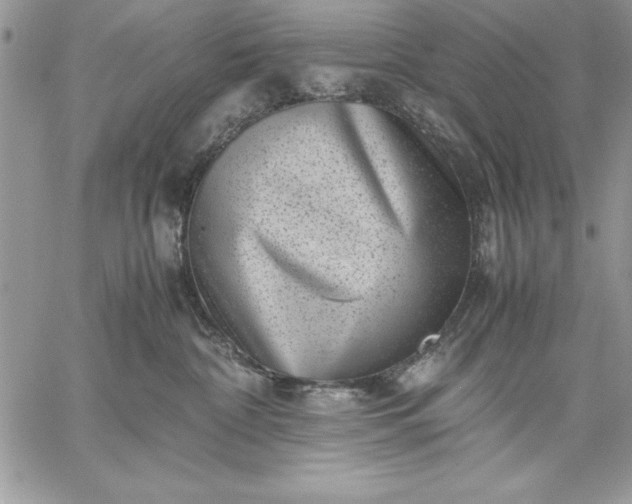 X0000059090332200510172101