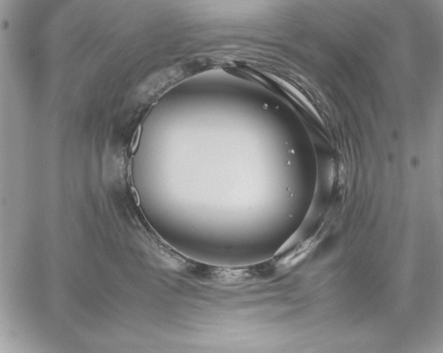 X0000059090333200510172101