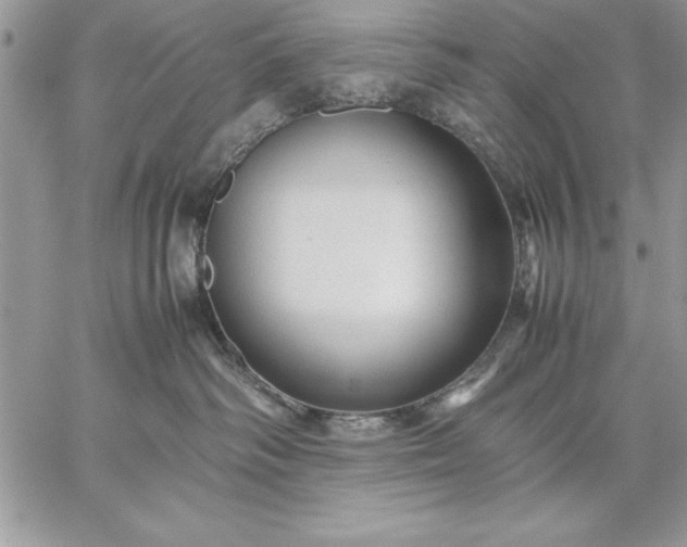 X0000059090334200510172101