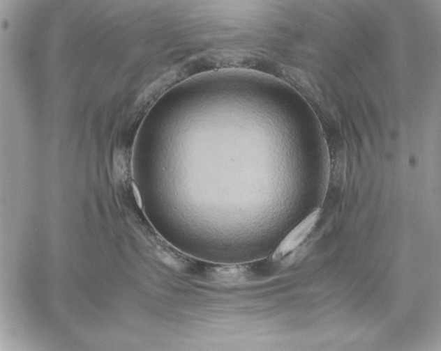 X0000059090335200510172101