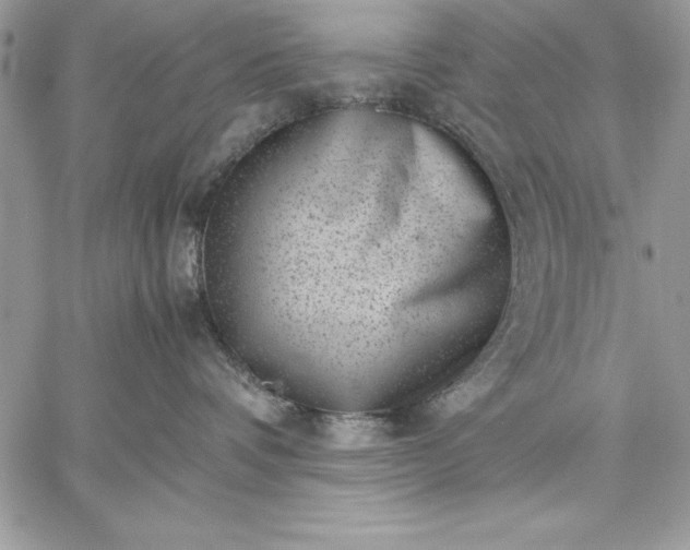 X0000059090336200510172101