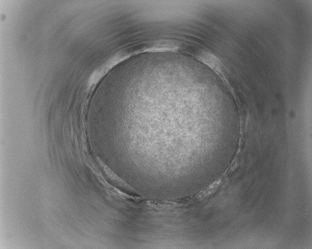 X0000059090337200510172100