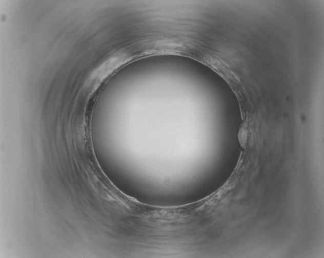 X0000059090338200510172100