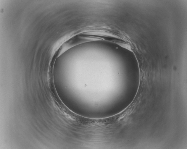 X0000059090340200510172100