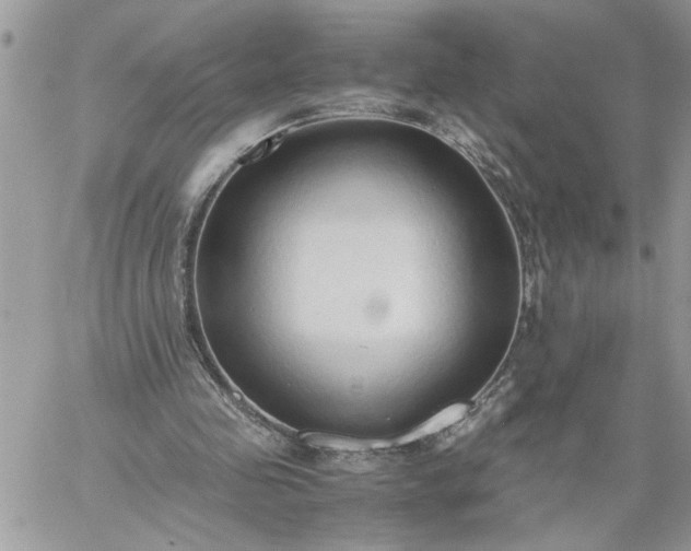 X0000059090341200510172100