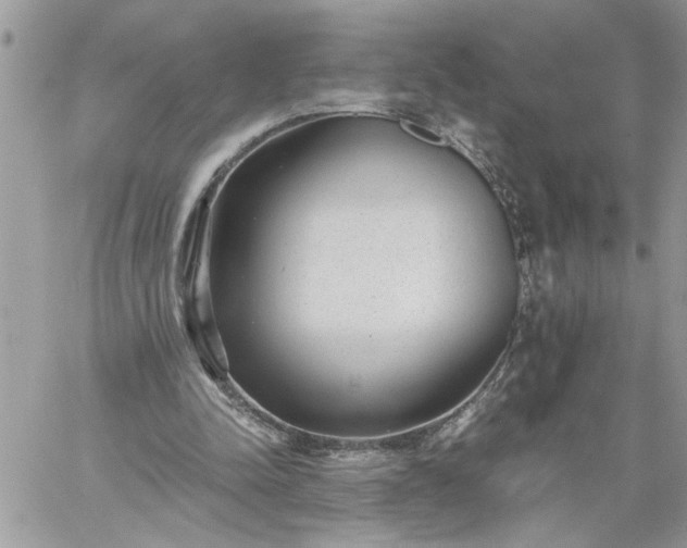 X0000059090342200510172100