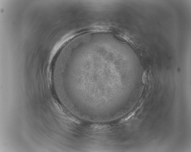 X0000059090343200510172100