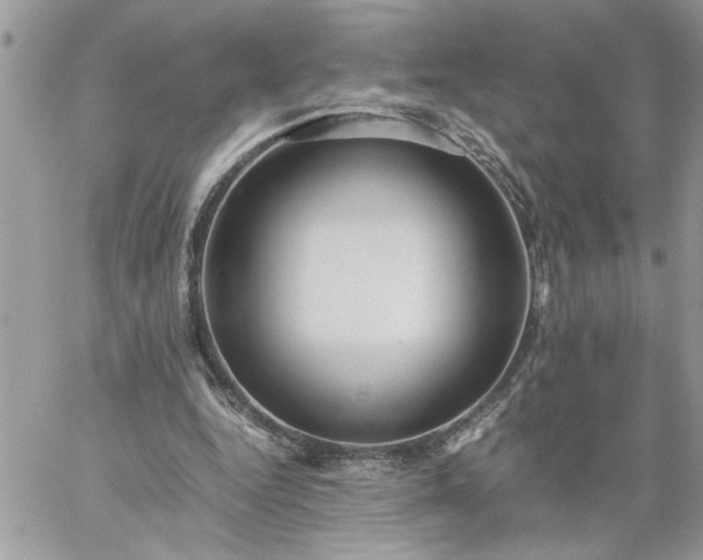 X0000059090344200510172100