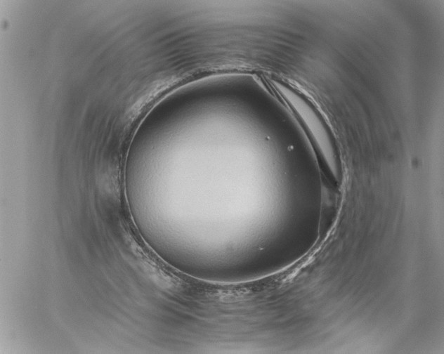 X0000059090345200510172100