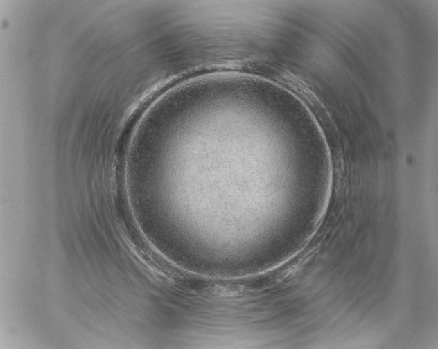 X0000059090346200510172100