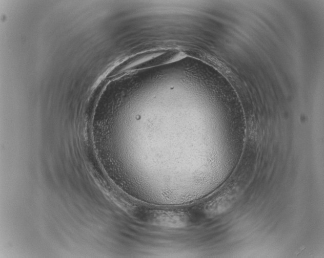 X0000059090347200510172100