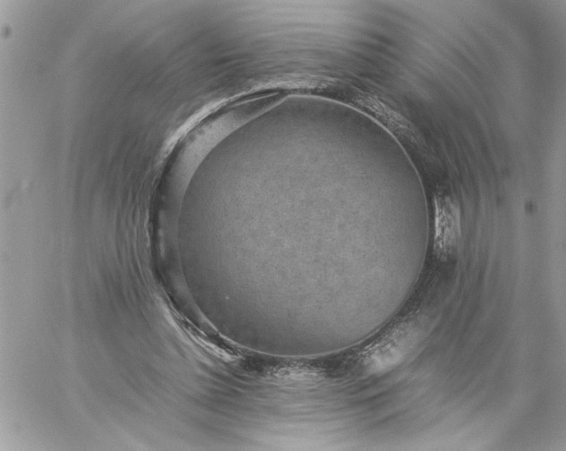 X0000059090348200510172100