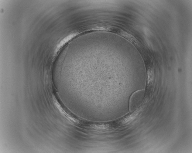 X0000059090349200510172100