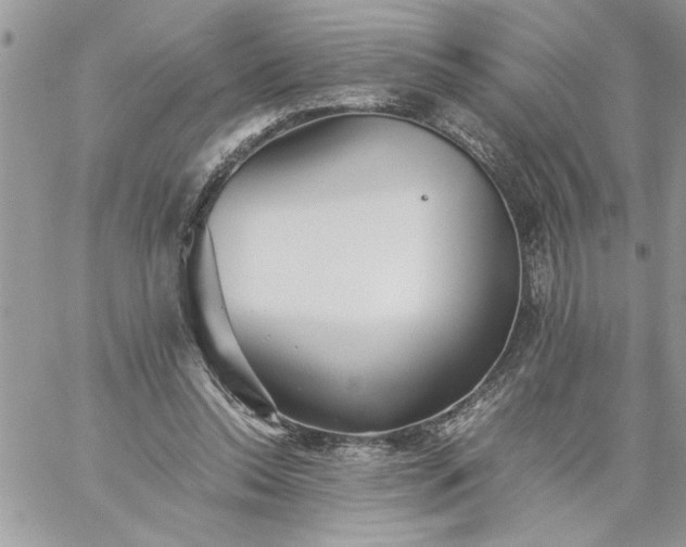 X0000059090350200510172100