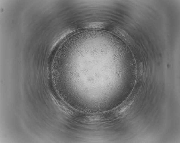 X0000059090351200510172100