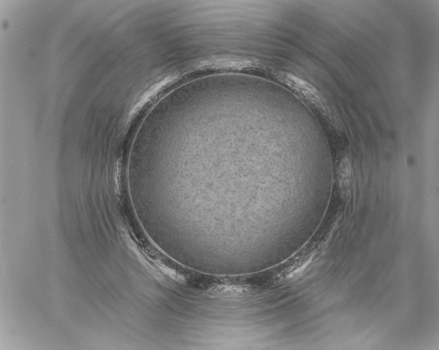 X0000059090352200510172100