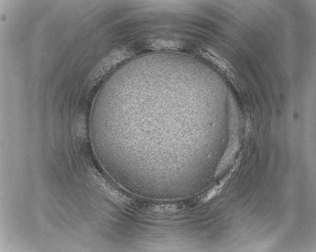 X0000059090353200510172100