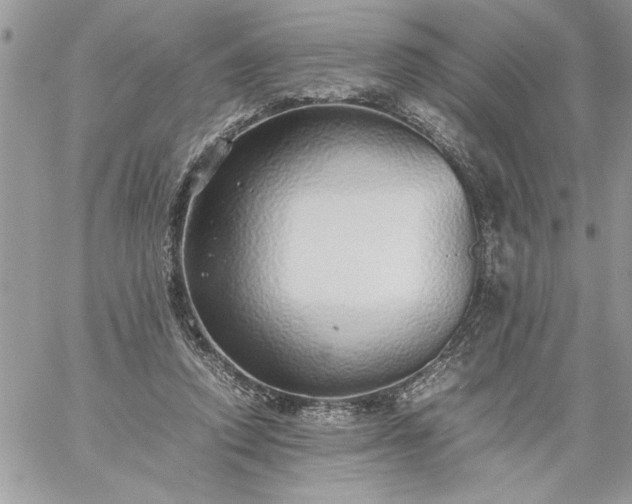 X0000059090354200510172100