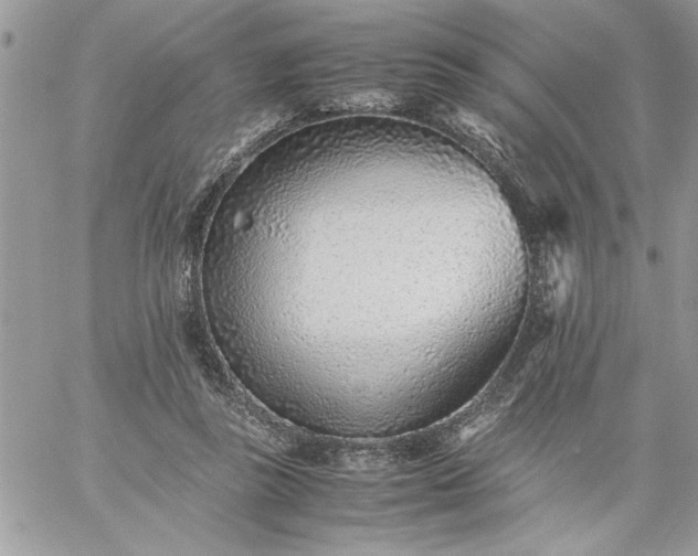 X0000059090355200510172100