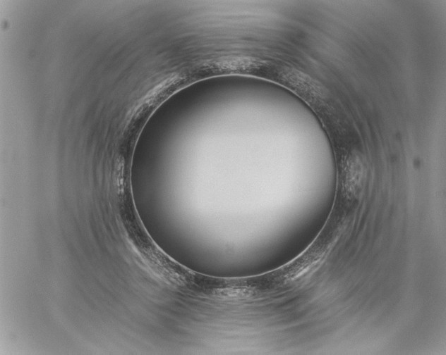 X0000059090356200510172100