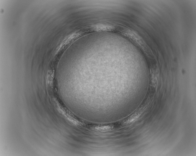 X0000059090357200510172100