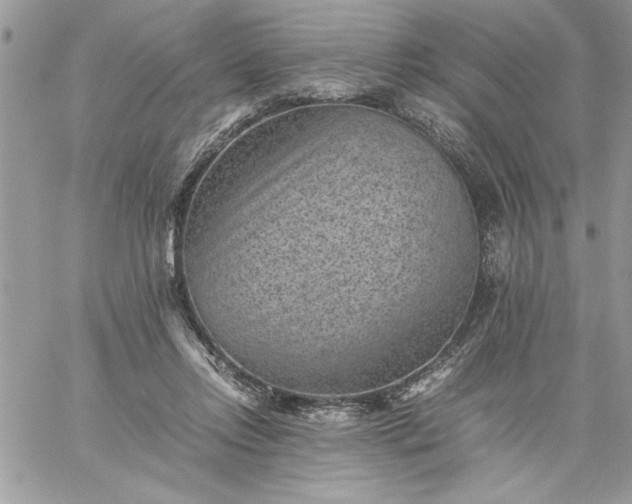 X0000059090358200510172100