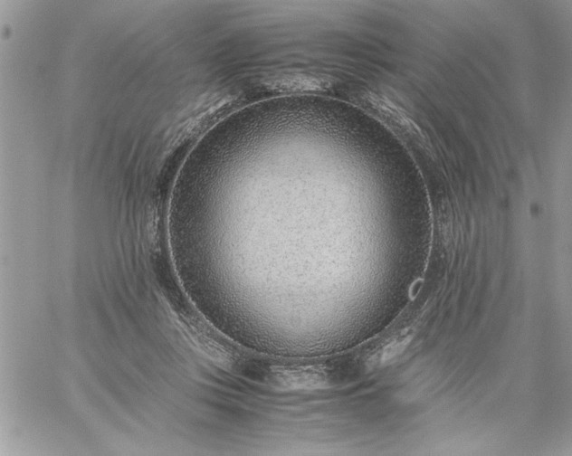 X0000059090359200510172100