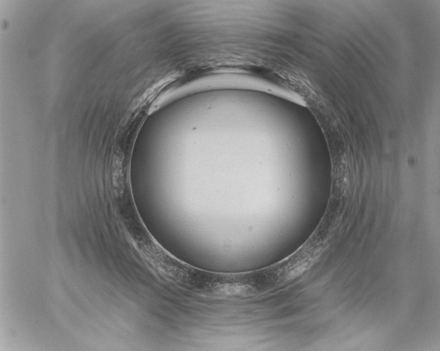 X0000059090360200510172100