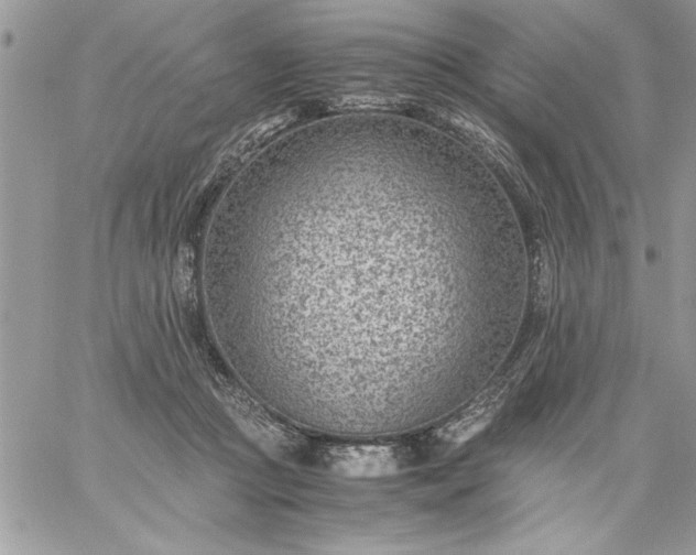 X0000059090361200510172100