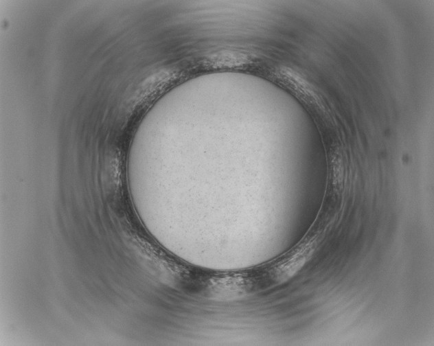 X0000059090362200510172100