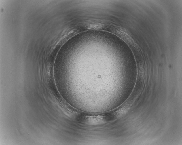 X0000059090363200510172100