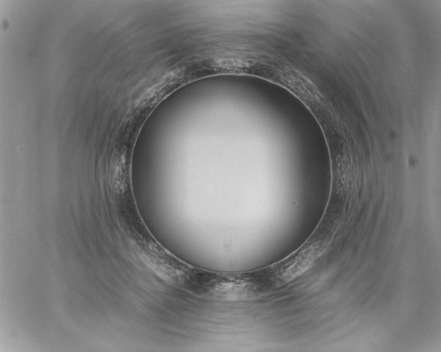 X0000059090364200510172100