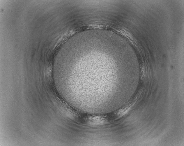 X0000059090365200510172100