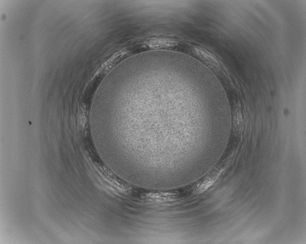 X0000059090367200510172100