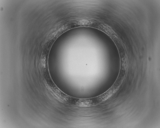 X0000059090368200510172101