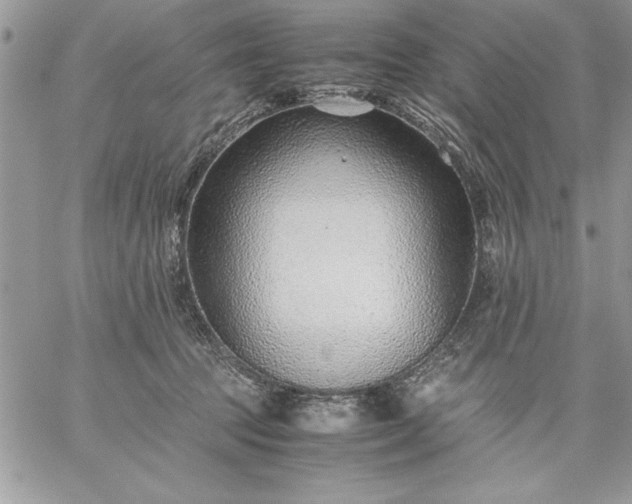 X0000059090369200510172101