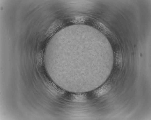 X0000059090370200510172101